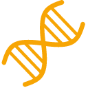 Genética